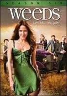 Weeds - Season 6 (3 DVDs)