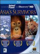 Asia's Survivors (3 Blu-ray)