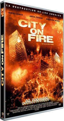 City on fire (2009)