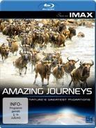 Amazing journeys - (Seen on IMAX)