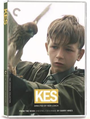 Kes (1969) (Criterion Collection, 2 DVD)