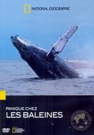 National Geographic - Panique chez les baleines