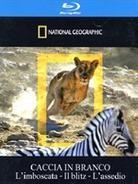 National Geographic - Caccia in branco (2010)
