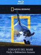 National Geographic - I giganti del mare
