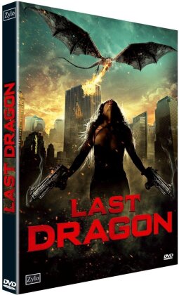 Last Dragon (2009)