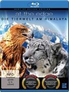 At the Edge - Die Tierwelt am Himalaya