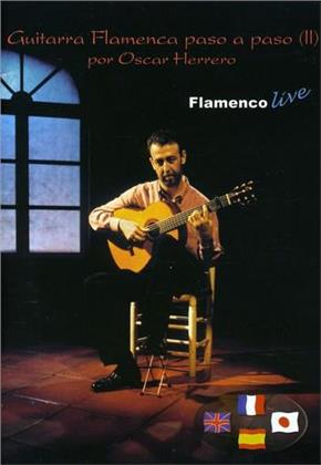 Guitarra Flamenca paso a paso - Flamenco Guitar step by step - Vol. 2