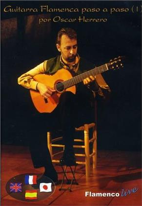 Guitarra Flamenca paso a paso - Flamenco Guitar step by step - Vol. 1