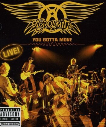 Aerosmith - You gotta move - Live