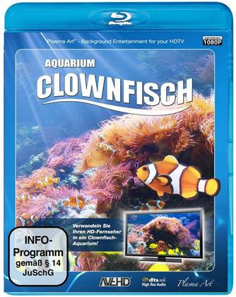 Clownfisch - Aquarium HD