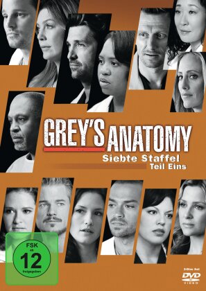 Grey's Anatomy - Staffel 7.1 (3 DVDs)