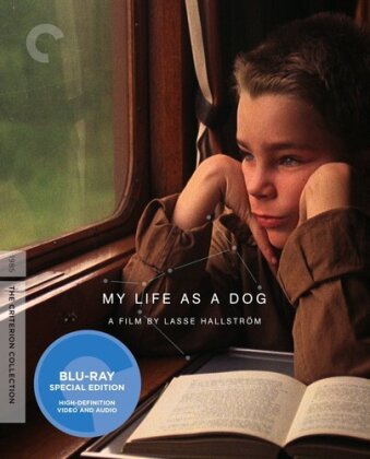My life as a dog (1985) (Criterion Collection)