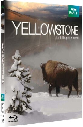 Yellowstone - La lutte pour la vie (2009) (BBC Earth)