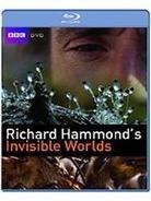 Invisible Worlds - Richard Hammond's Invisible Worlds