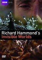 Invisible Worlds - Richard Hammond's Invisible Worlds