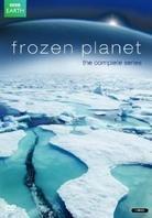 Frozen Planet (3 DVD)