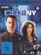 CSI - New York - Staffel 6 (4 Blu-rays)