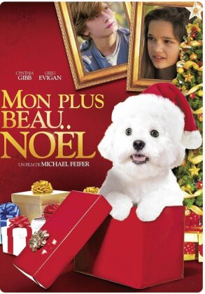 Mon plus beau Noël (2012)