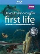 First life (BBC) - L'origine della vita
