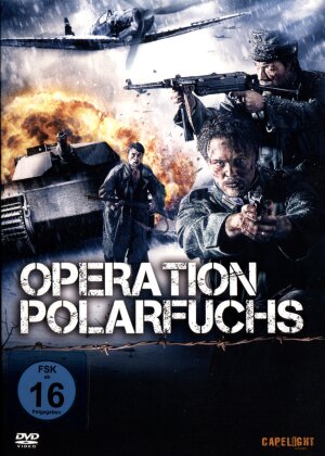 Operation Polarfuchs (2011)