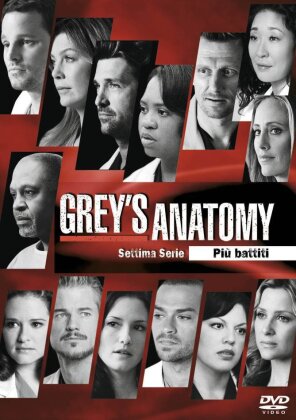 Grey's Anatomy - Stagione 7 (6 DVDs)