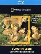 National Geographic - Gli ultimi leoni
