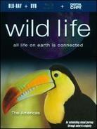 Wild Life - The Americas (Blu-ray + DVD)