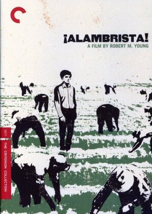Alambrista (Criterion Collection)