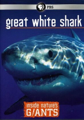 Inside Nature's Giants - Great White Shark