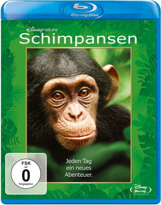 Schimpansen (2012)