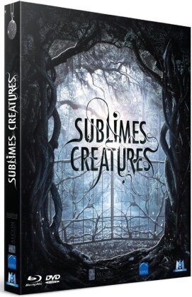 Sublimes Créatures (2013) (Blu-ray + DVD)