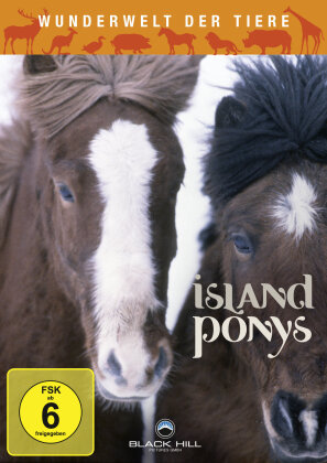Island Ponys - Wunderwelt der Tiere