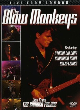 Blow Monkeys - Live from London