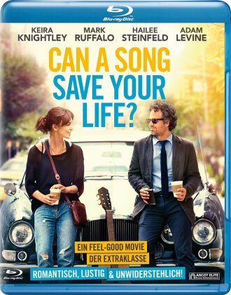 Can a Song Save Your Life? (2013)