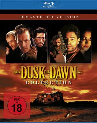 From Dusk Till Dawn 2 + 3 (2 Blu-rays)