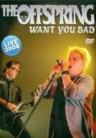 Offspring - Want you bad - Live 2008 (Inofficial)