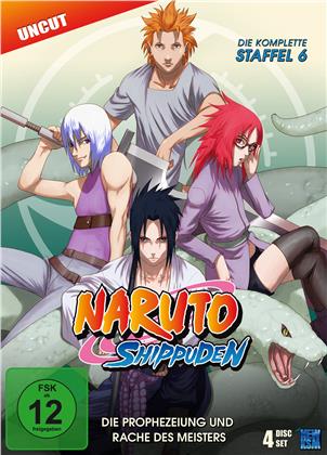 Naruto Shippuden - Staffel 6 (4 DVDs)