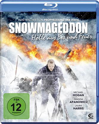 Snowmageddon - Hölle aus Eis und Feuer (2011)