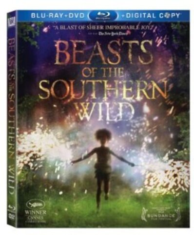 Beasts of the Southern Wild (2012) (Blu-ray + DVD)