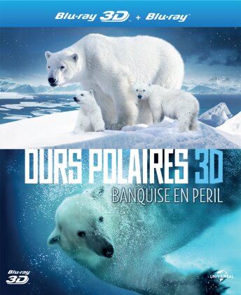 Ours polaires - Banquise en péril