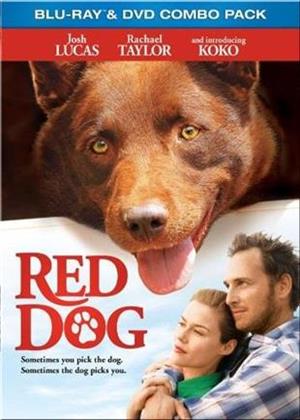 Red Dog (2011) (Blu-ray + DVD)