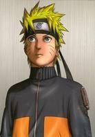 Naruto Shippuden - Coffrets Vol. 1 à 4 (12 DVD)
