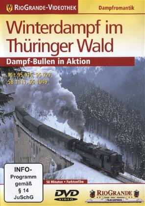 Winterdampf im Thüringer Wald