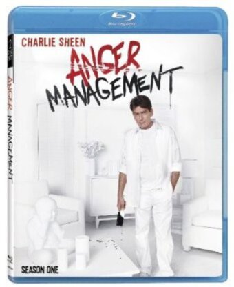 Anger Management - Season 1 (2 Blu-rays)