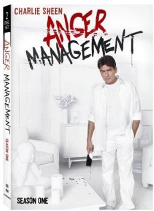 Anger Management - Season 1 (2 DVDs)