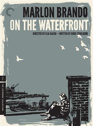 On the Waterfront (1954) (b/w, Criterion Collection, 3 DVDs)