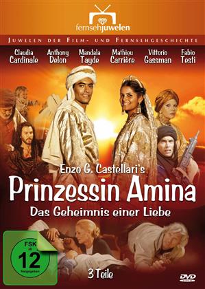 Prinzessin Amina - Das Geheimnis einer Liebe - Teil 1-3 (2 DVDs)