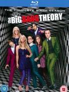 The Big Bang Theory - Season 6 (2 Blu-rays)