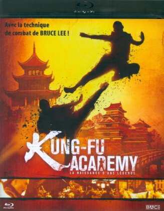 Kung-Fu Academy (2010)