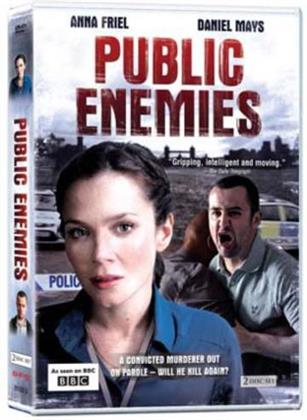 Public Enemies (2012) (2 DVDs)